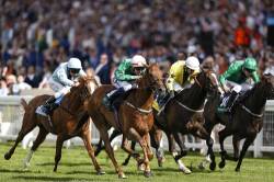 At 10bet you can bet on horse racing