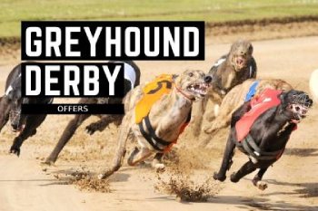 Betting on the famous Greyhound Derby
