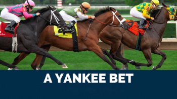 What is a yankee bet in horse racing betting