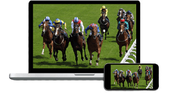 Betting on horse racing live